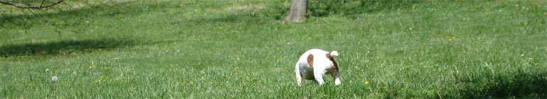 Live internet streems of gay performers fucking header image 2